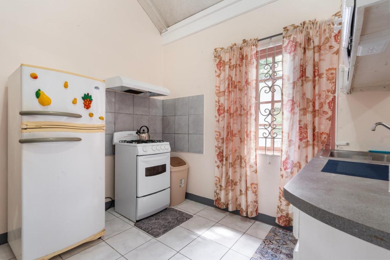 Shaw Park Gem Apt 12D Ocho Rios Kültér fotó